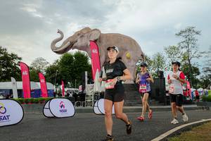 BIB: 
                            <button type="button" onclick="openModal(26528626)" class="btn btn-primary btn-sm float-right btn-popup" data-toggle="modal" data-target=".modal-high-quality">
                        <i class="fas fa-shopping-cart"></i> Add to Cart
                    </button>
                                            <button type="button" onclick="isThisMe(26528626, true)" class="btn btn-success btn-sm float-right btn-popup btn-isme hidden" data-toggle="tooltip" data-placement="bottom" title="นี่คือรูปของคุณใช่ไหม คลิกที่นี่เพื่อเอาเข้าอัลบั้ม">
                        <i class="fas fa-plus"></i> Add to album
                    </button>
                    <button type="button" onclick="isThisMe(26528626, false)" class="btn btn-warning btn-sm float-right btn-popup btn-isnotme hidden">
                        <i class="fas fa-ban"></i> Remove from album
                    </button>